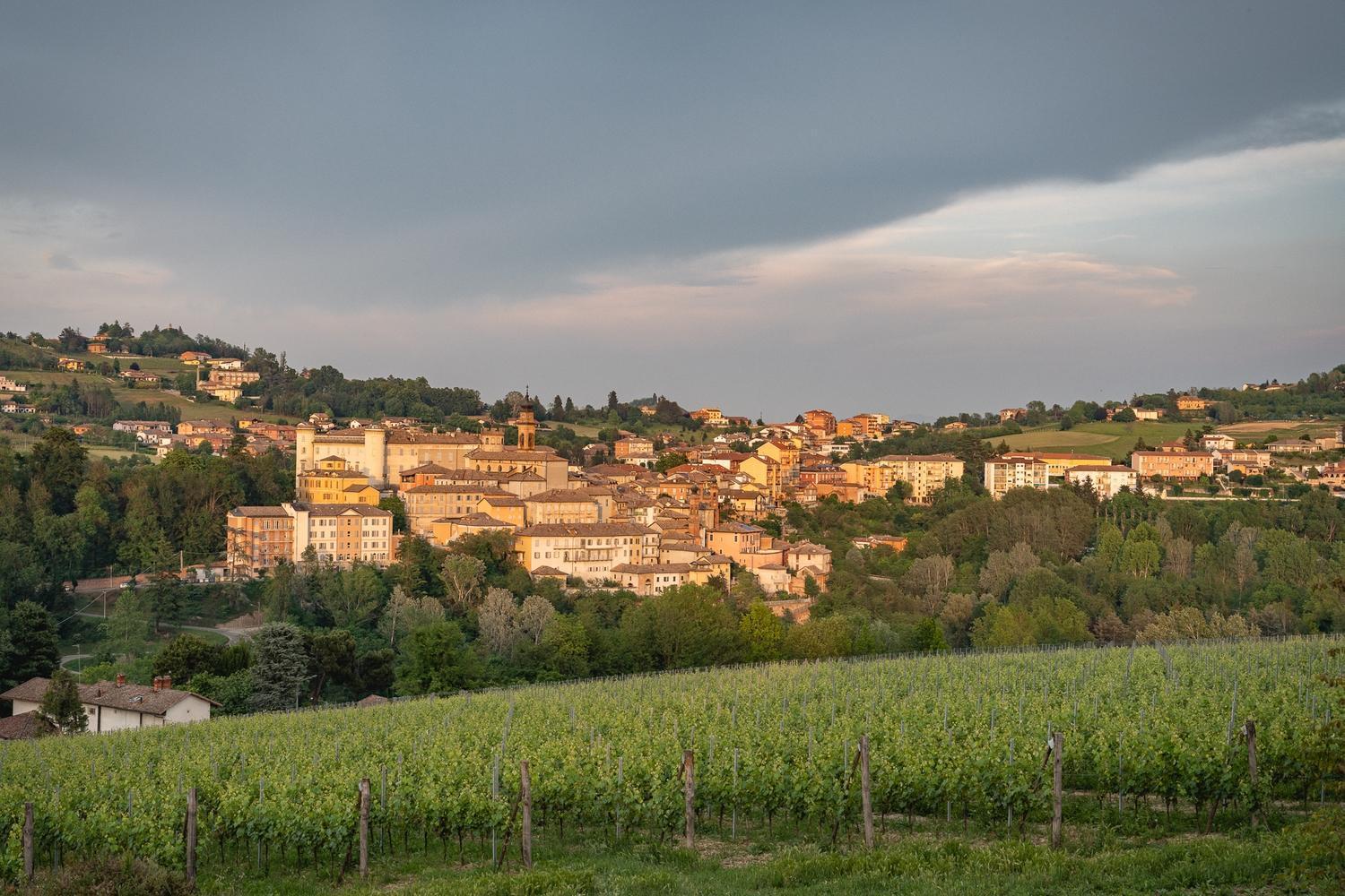 Monvi Wine Relais Villa Costigliole d'Asti Luaran gambar